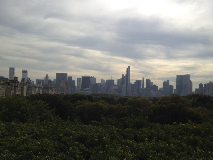 Been to NY so many times but never made it to the MET. It is a MUST, if you are there. I loved it but my favourite was the view of the city from the rooftop. 