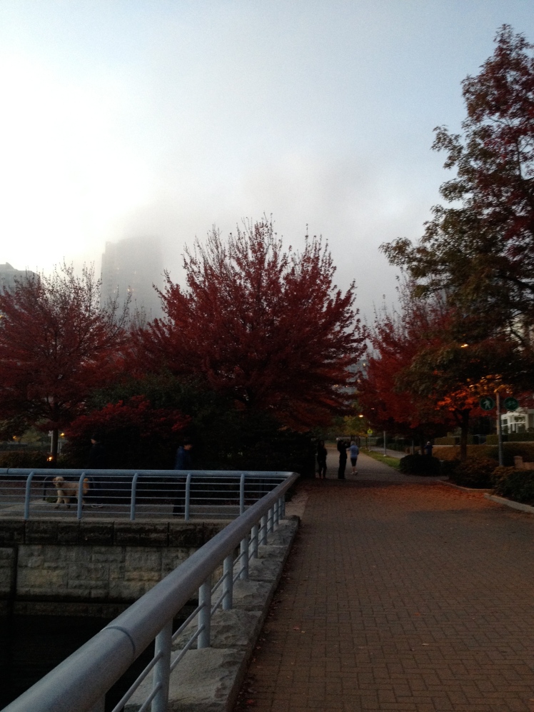 Love the fog and colourful leaves